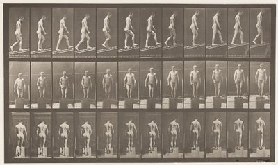 Planche 74. Montée inclinée, angle 1 sur 4 - Eadweard Muybridge