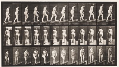 Planche 77. Monter une pente - Eadweard Muybridge