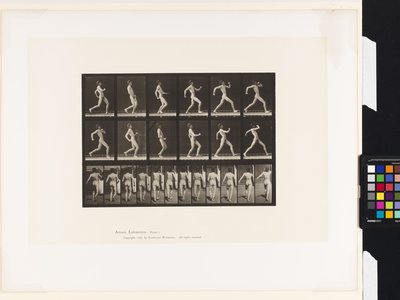 Planche 7. Marche - Eadweard Muybridge