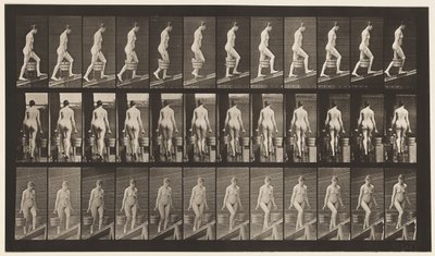 Plaque 81. Monter une pente - Eadweard Muybridge