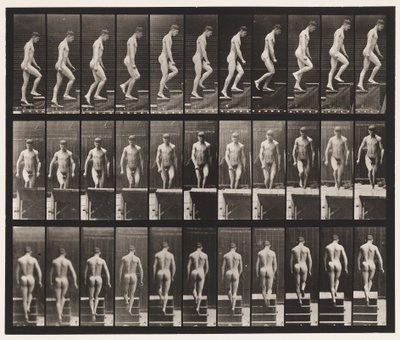 Planche 88. Monter les escaliers - Eadweard Muybridge