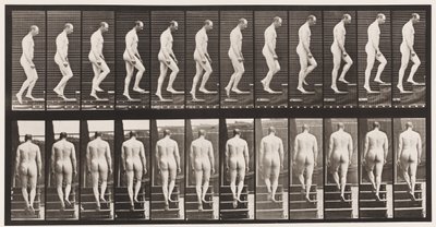 Planche 89. Monter les escaliers - Eadweard Muybridge