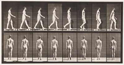 Planche 8. Marcher - Eadweard Muybridge