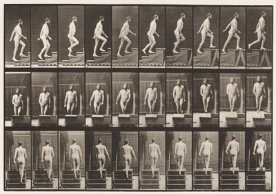 Planche 90. Monter les escaliers - Eadweard Muybridge