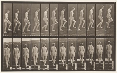 Planche 92. Monter des escaliers - Eadweard Muybridge