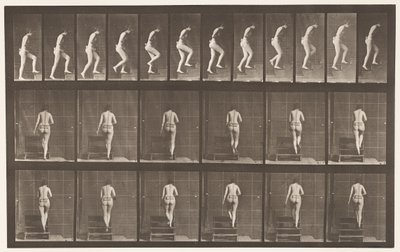 Planche 93. Montée d