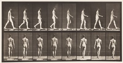 Marcher, 1872-1885 - Eadweard Muybridge