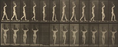 Planche numéro 34. Marcher et porter un panier de 15 lb sur la tête, mains levées - Eadweard Muybridge