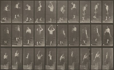 Numéro de plaque 504. Escaliers ascendants et descendants - Eadweard Muybridge