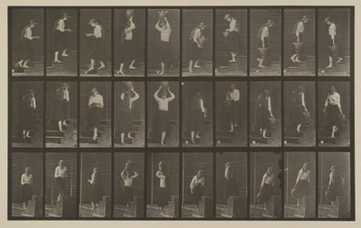 Planche numéro 504. Escaliers montants et descendants - Eadweard Muybridge