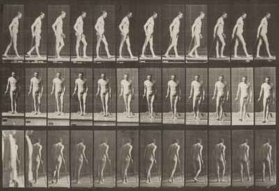  - Eadweard Muybridge