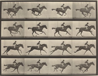 Planche numéro 626. Galop, jument baie pur-sang, Annie G. - Eadweard Muybridge