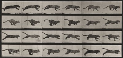  - Eadweard Muybridge