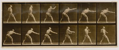 Pugiliste frappant un coup, extrait du livre Animal Locomotion - Eadweard Muybridge