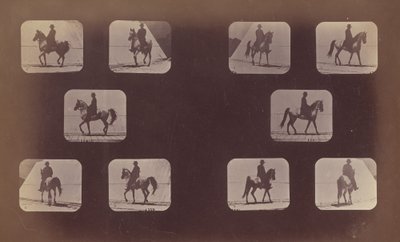 Études de raccourcis. Chevaux. Marche. Mahomet. Nos. 119-120 - Eadweard Muybridge
