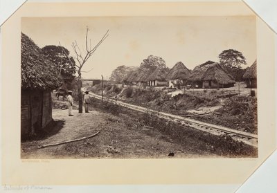 Banlieue de Panama - Eadweard Muybridge
