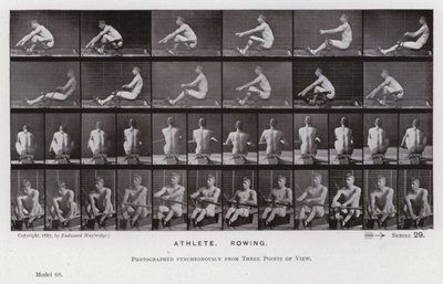 La figure humaine en mouvement : Athlète, ramant - Eadweard Muybridge