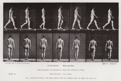 La figure humaine en mouvement : Athlète, marchant - Eadweard Muybridge