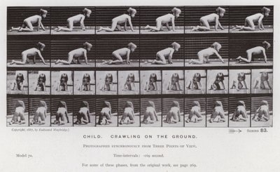 La Figure humaine en mouvement : Enfant, rampant sur le sol - Eadweard Muybridge
