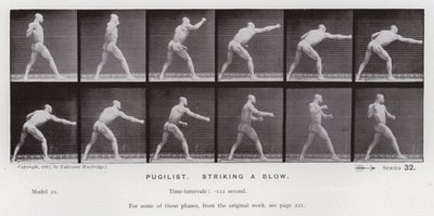 La figure humaine en mouvement : Pugiliste, frappant un coup - Eadweard Muybridge
