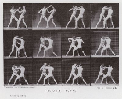 La figure humaine en mouvement : Pugilistes, boxe (photo n/b) - Eadweard Muybridge