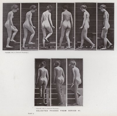 La figure humaine en mouvement : Phases sélectionnées de la série 41 - Eadweard Muybridge