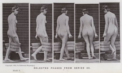 La Figure Humaine en Mouvement : Phases sélectionnées de la série 43 - Eadweard Muybridge
