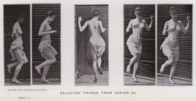 La Figure Humaine en Mouvement : Phases sélectionnées de la série 55 - Eadweard Muybridge