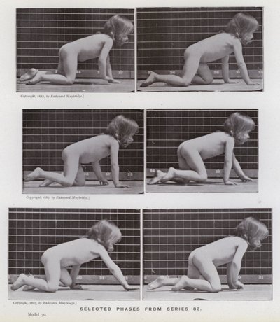 La figure humaine en mouvement : Phases sélectionnées de la série 83 - Eadweard Muybridge