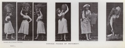 La Figure Humaine en Mouvement : Diverses phases de mouvement - Eadweard Muybridge