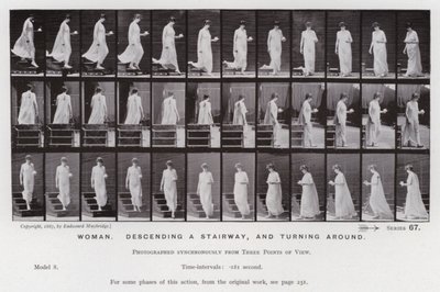 La figure humaine en mouvement : Femme, descendant un escalier et tournant (photo n/b) - Eadweard Muybridge