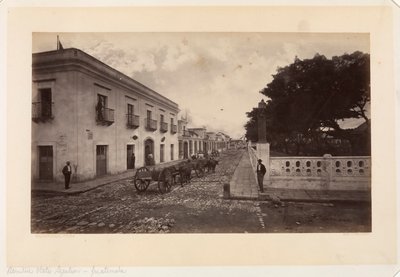 Légation des États-Unis, Guatemala - Eadweard Muybridge