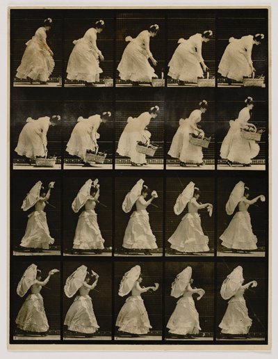 Femme soulevant un panier et agitant un mouchoir, extrait du livre Animal Locomotion - Eadweard Muybridge
