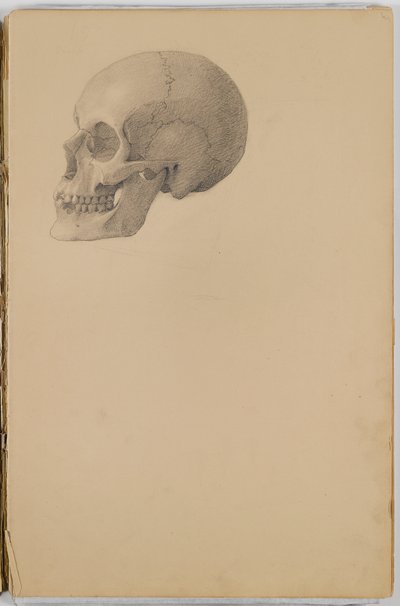 Carnet de croquis anatomiques, 1849 - Eastman Johnson