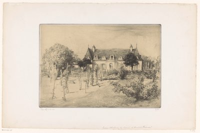 Vue d