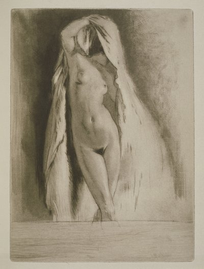 Une femme drapée dans un drap, illustration pour 