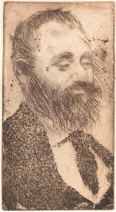 Alphonse Hirsch, 1875 - Edgar Degas