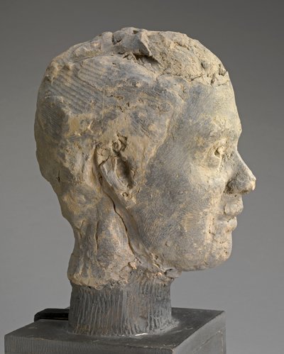 Tête, étude pour un portrait de Mme Salle, vers 1892 - Edgar Degas