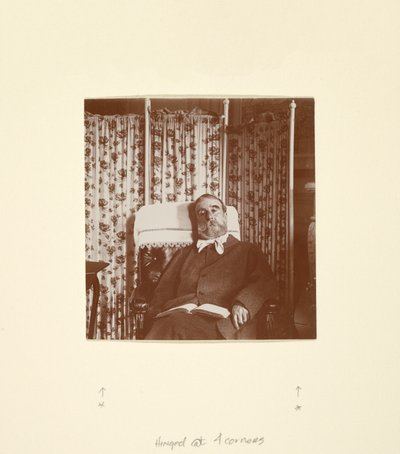 [Portrait de Ludovic Halévy] - Edgar Degas