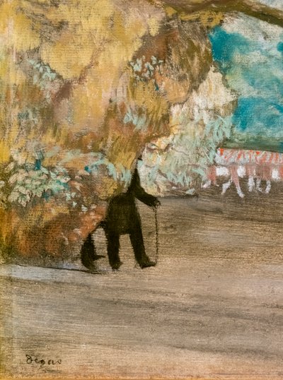 Le Rideau (détail) - Edgar Degas