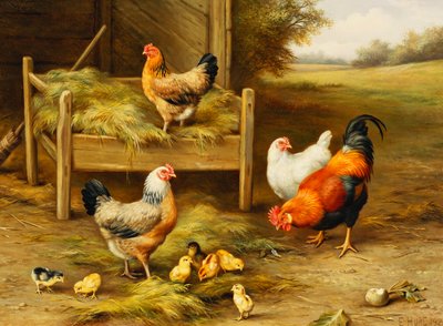 Poules et poussins se nourrissant - Edgar Hunt
