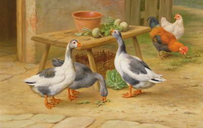 Oies et volailles se nourrissant - Edgar Hunt