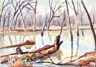 Rock Creek, Hiver - Edgar Nye