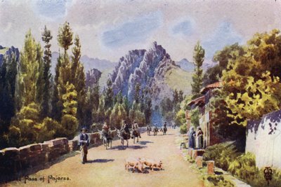 Nord de l