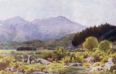 Nord de l