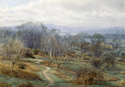 Hampstead Heath regardant vers Harrow on the Hill, vers 1880 - Edith Martineau