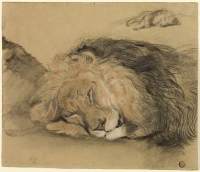 Tête de lion et esquisse d
