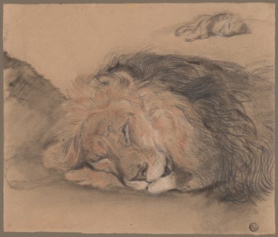 Tête de lion et esquisse d