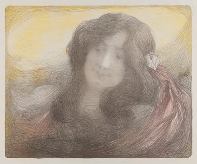 Fille aux longs cheveux - Edmond Francois Aman Jean