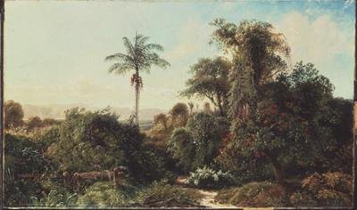 Paysage cubain - Edmund Darch Lewis
